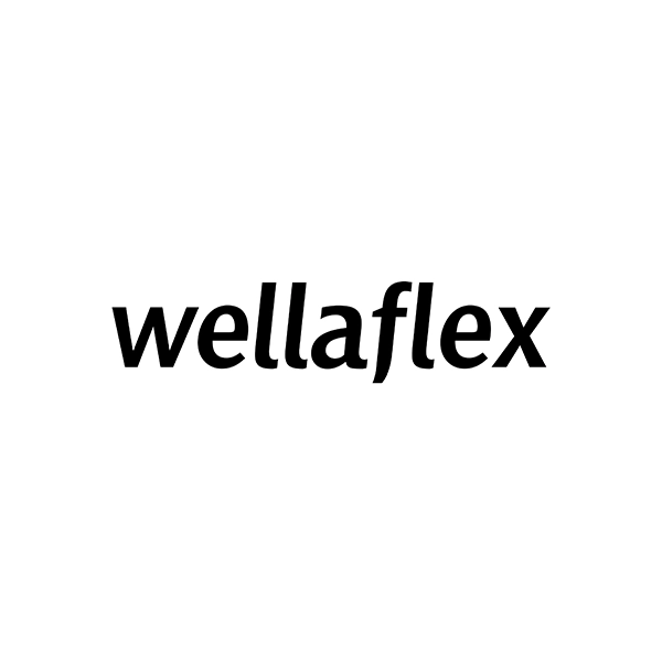 Средства для укладки волос WELLAFLEX